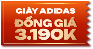 giay dong gia