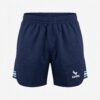 Xanh navy